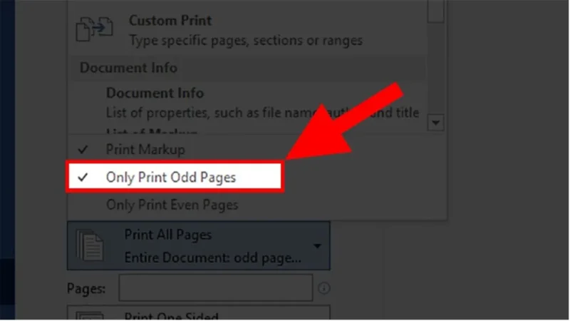 Only print odd pages 13 Trường hợp máy in không có hỗ trợ in hai mặt tự động