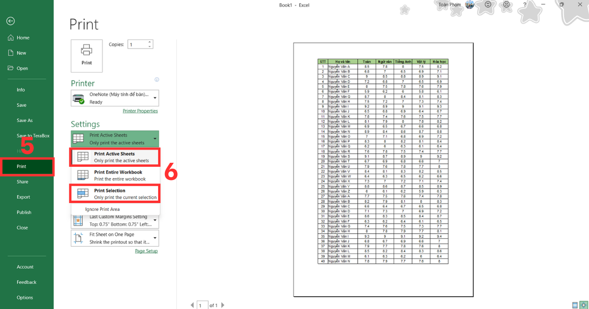 Cách in Excel