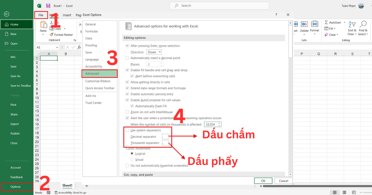 Chỉnh dấu chấm phẩy trong Excel