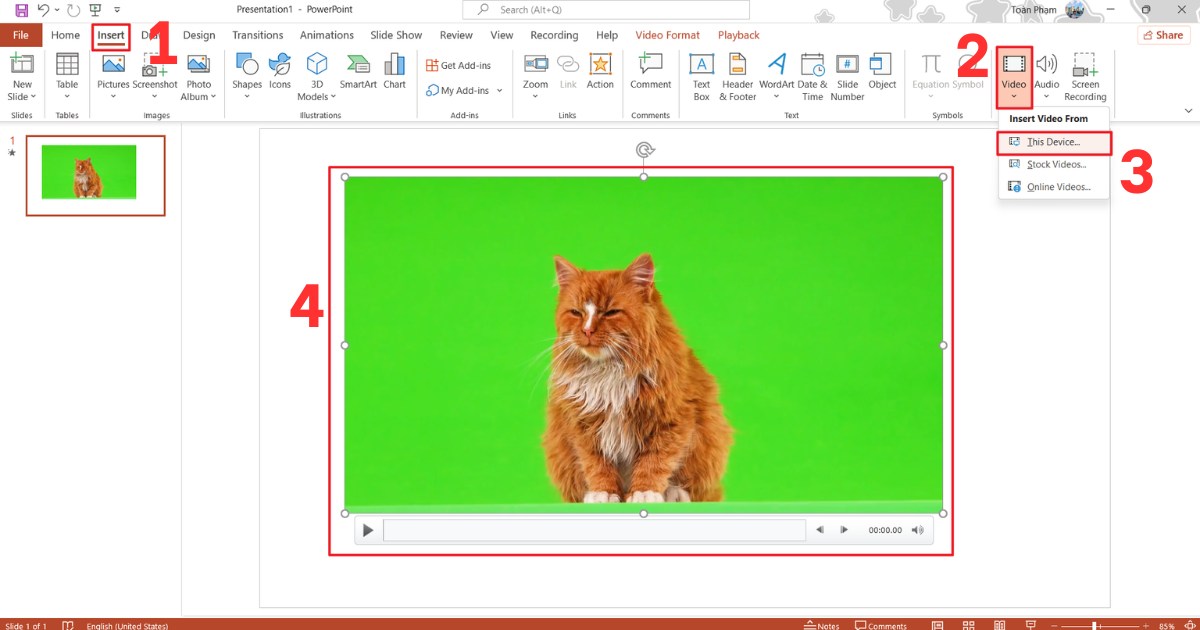Cách xóa nền video trong PowerPoint