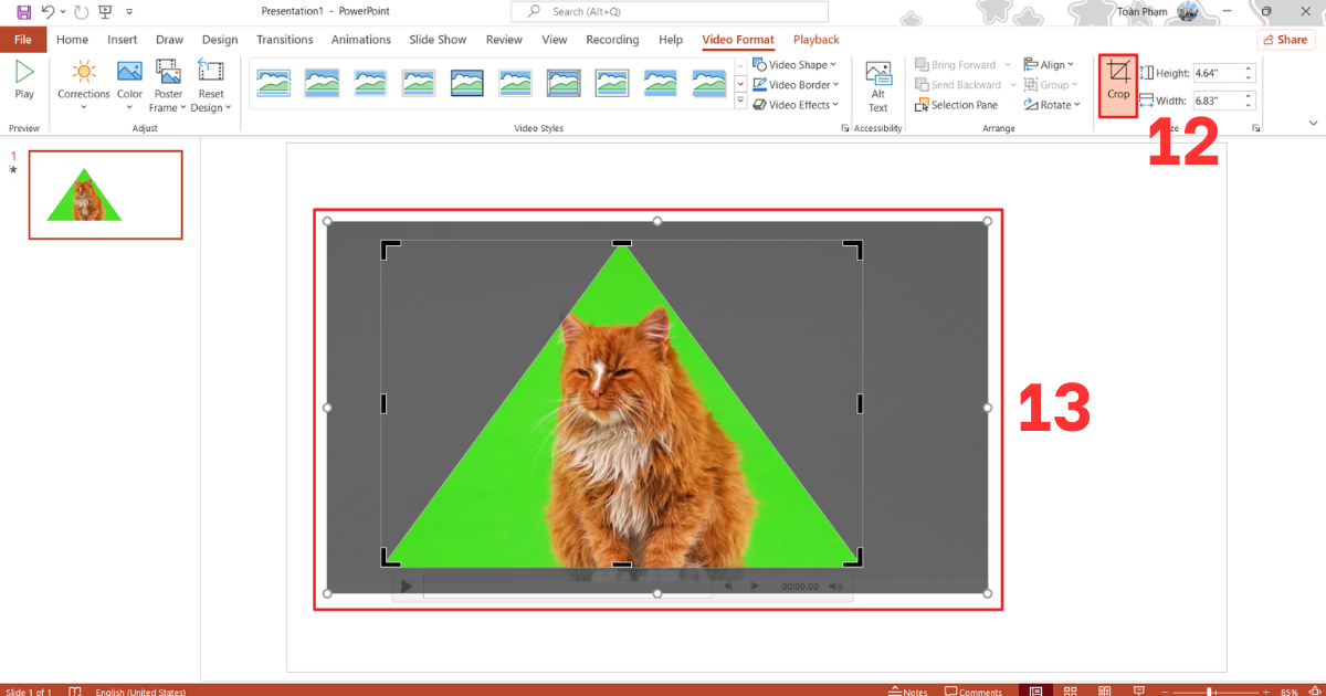Cách xóa nền video trong PowerPoint
