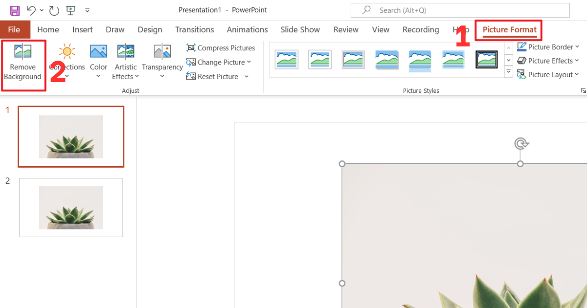 Xóa nền ảnh trong PowerPoint