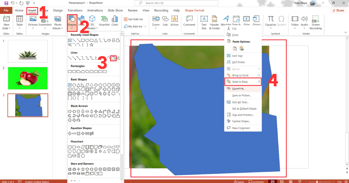 Xóa nền ảnh trong PowerPoint