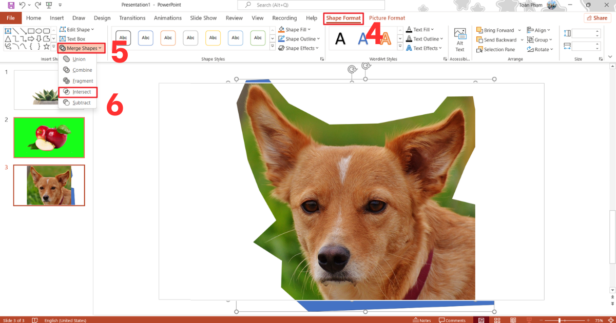 Xóa nền ảnh trong PowerPoint